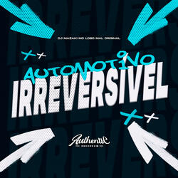 Automotivo Irreversível