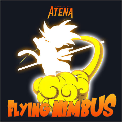 Flying Nimbus