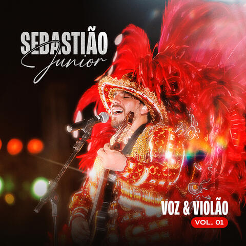 Voz & Violão - Vol. 01
