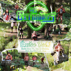 Éxitos, Vol. 1: Nadie Como Tú / Ven y Bésame / Solo Soy un Tonto / Eres