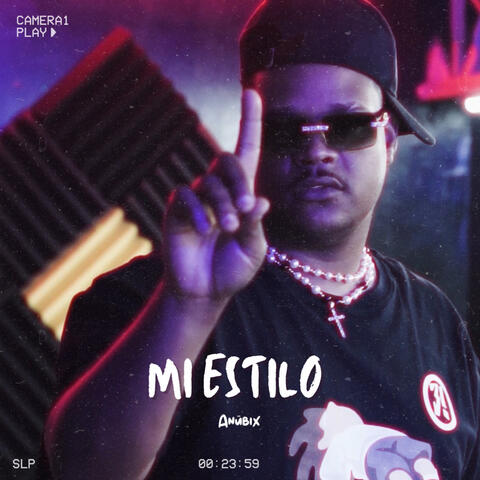 Mi Estilo