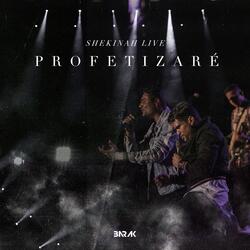 Profetizaré