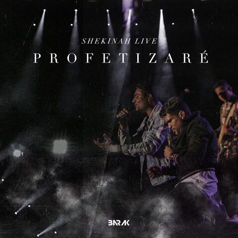 Profetizaré