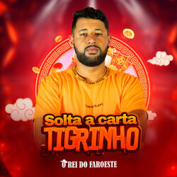 Solta a Carta Tigrinho