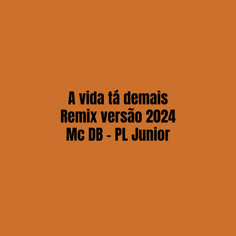 A Vida Tá Demais Remix Versão 2024