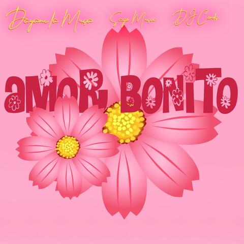 Amor Bonito