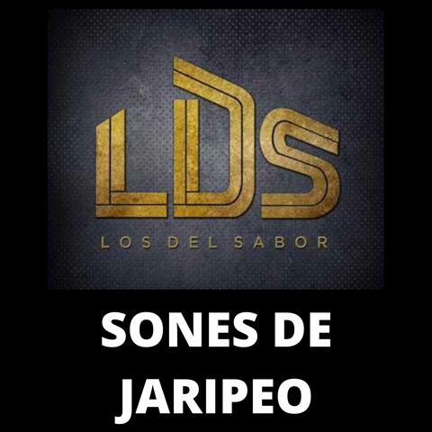 Sones de Jaripeo