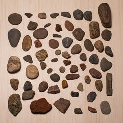 Leve Rebelión en Madison