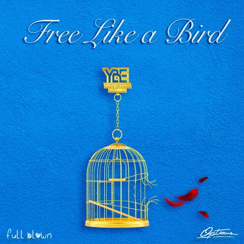 Free Like a Bird