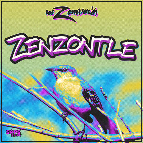 Zenzontle