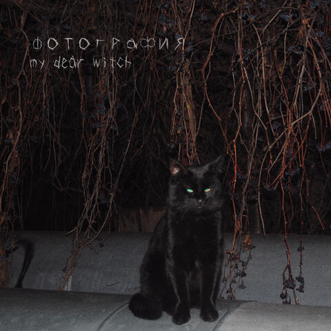 Фотография