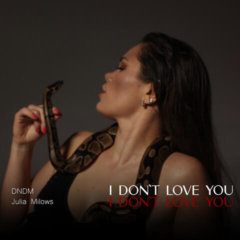 I Don't Love You