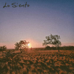 Lo Siento