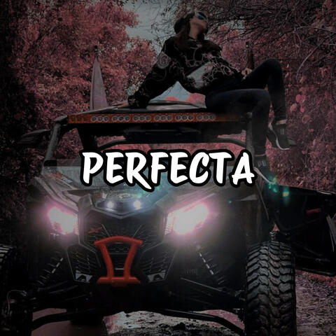 Perfecta