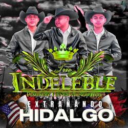Extrañando Hidalgo