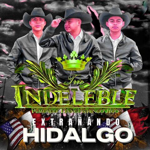 Extrañando Hidalgo