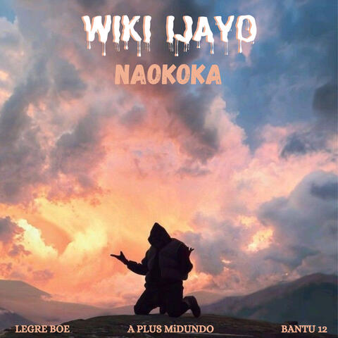 Wiki Ijayo Naokoka