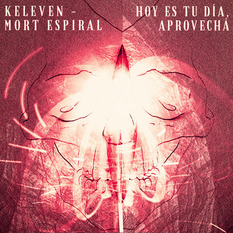 Hoy Es Tu Día, Aprovechá