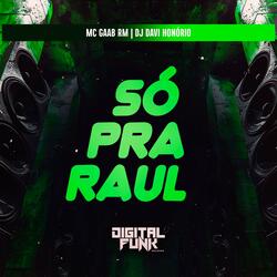 Só pra Raul