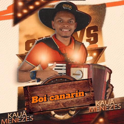 Boi Canarin