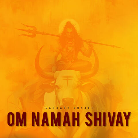 Om Namah Shivay