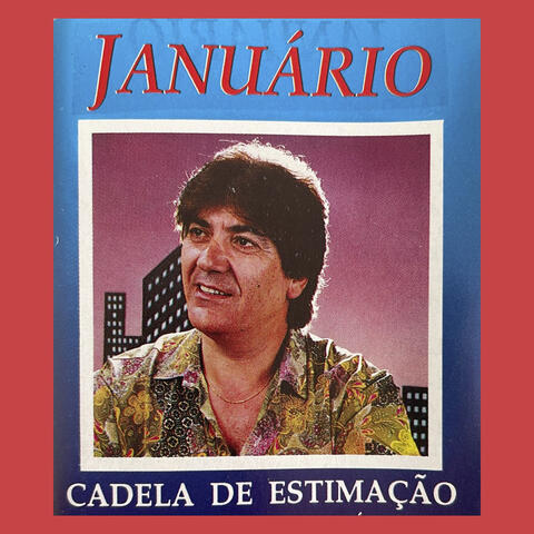 Cadela de Estimação