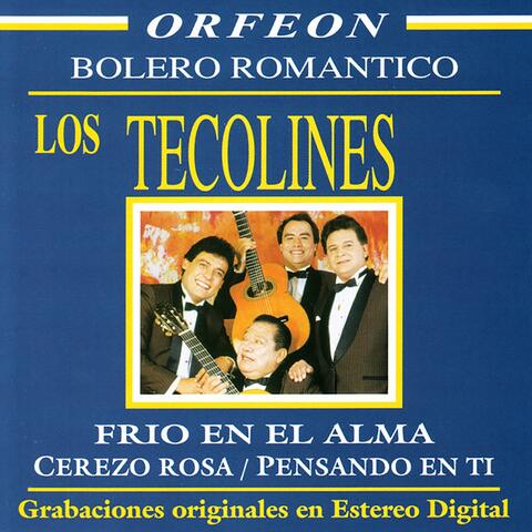 Los Tecolines: Bolero Romántico