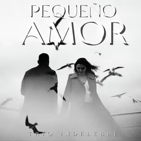 Pequeño Amor