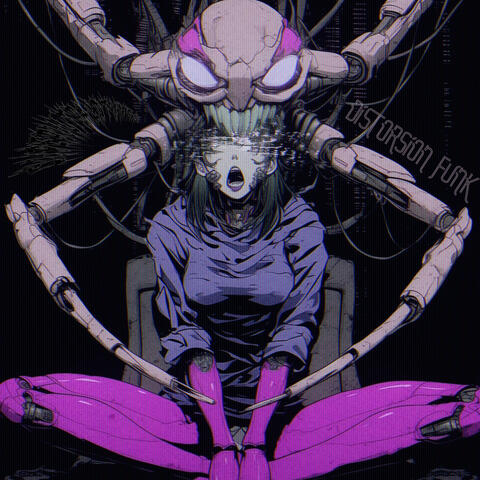 Distorsion Funk