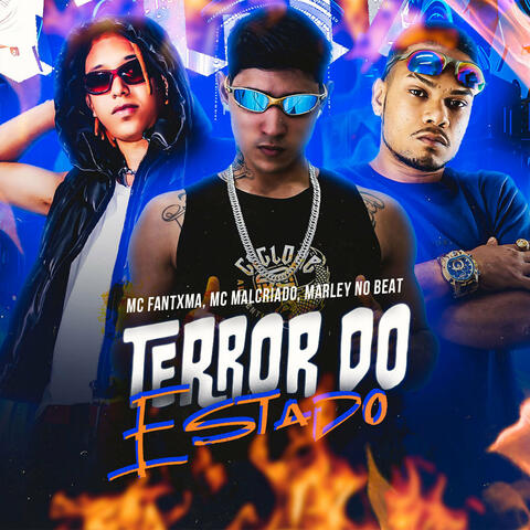 Terror do Estado
