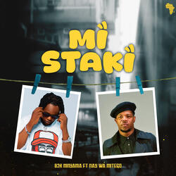 Mi Staki
