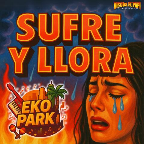 Sufre y Llora