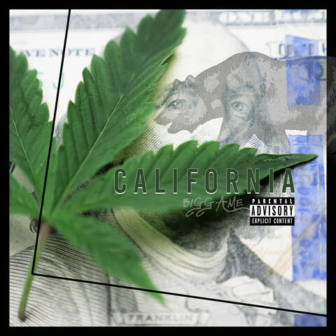 California - Biggame