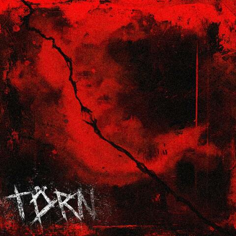 Torn