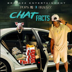 Chat Facts