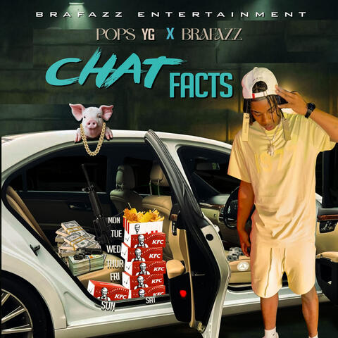 Chat Facts