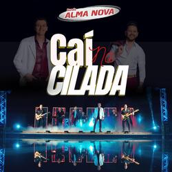 Caí Na Cilada