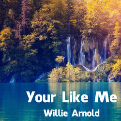 Your Like Me