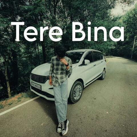 Tere Bina