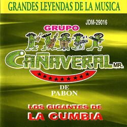Tiene Espinas el Rosal