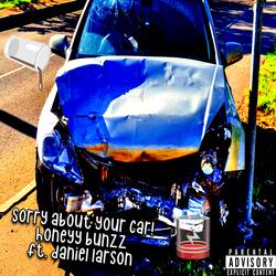 Sorry About Your Car!