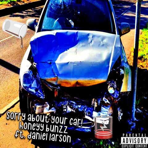 Sorry About Your Car!