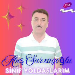 Sinif Yoldaşlarım