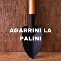 Agarrini la Palini
