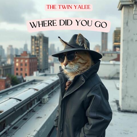 Where Did You Go