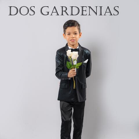Dos Gardenias