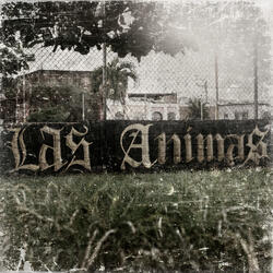 Las Ánimas
