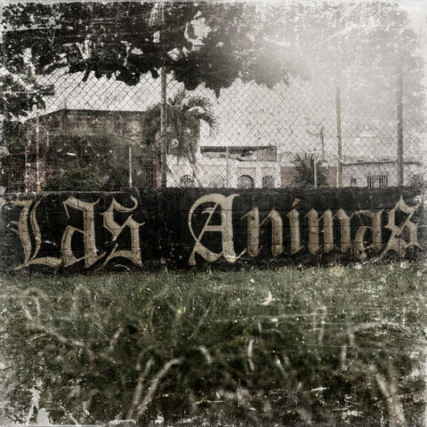 Las Ánimas