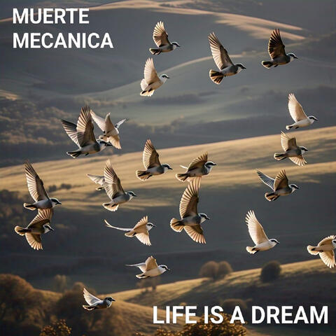 Life Is a Dream