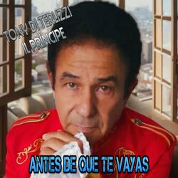 Antes de Que Te Vayas